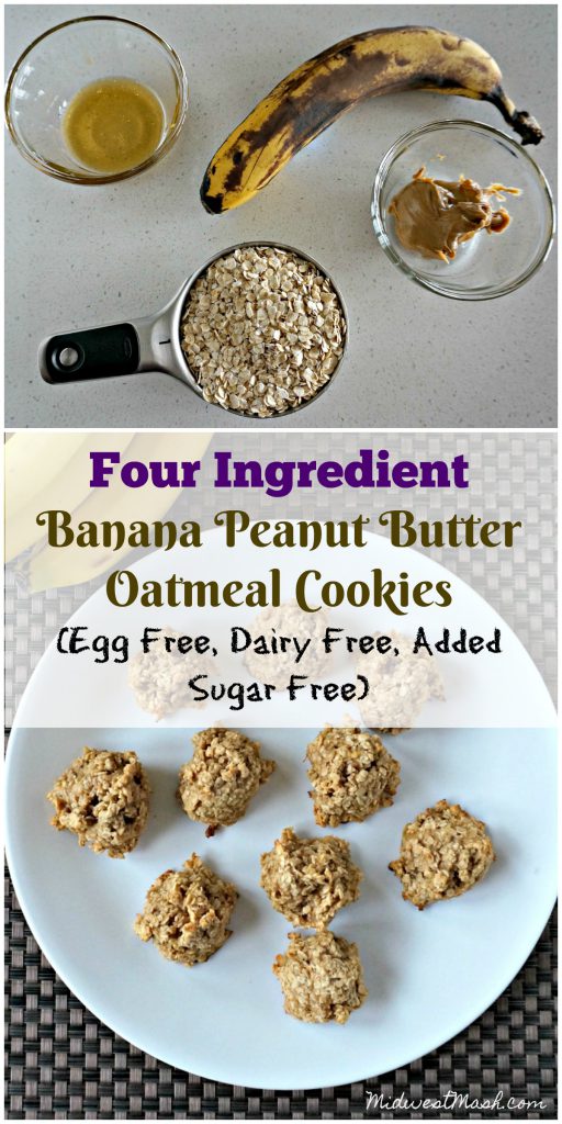 Four Ingredient Banana Peanut Butter Oatmeal Toddler Cookies (Egg Free