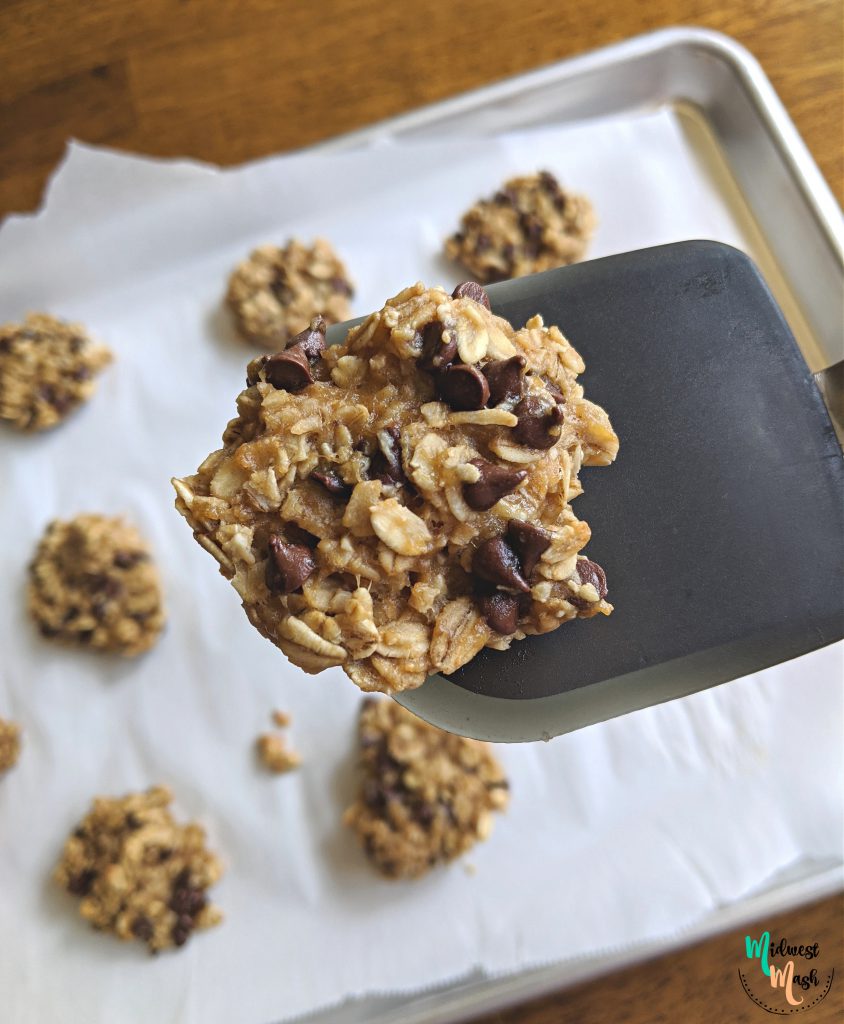 Four Ingredient Banana Peanut Butter Oatmeal Toddler Cookies (Egg Free